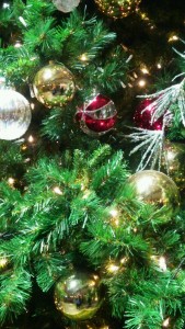 DSC_1077クリスマス画像7期生