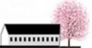 さくら女子中学校計画