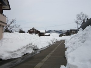 越後岩沢 ①016