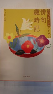 DSC04013