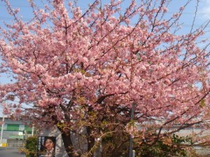 DSC04050