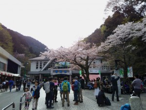 IMG_20160409_152244