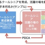 クールシニア