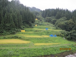 IMG_2034
