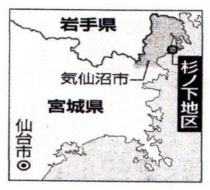 杉の下