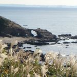 dsc04221