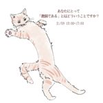 <span class="title">『RSSCシニアプロボノ研究会』活動報告2025－⑱　第14回アートセラピー　～あなたにとって”脆弱である”とはどういうことですか？～</span>